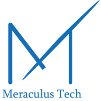 MeraculusTech logo - Similar company to New Age It Consults