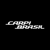 Carpi Brasil logo - Similar company to Kikoautos