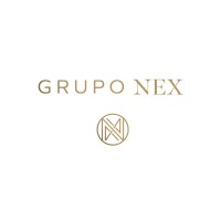 GrupoNex logo - Similar company to Nilo.App