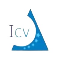 ICV Assessments logo - Similar company to Vision Studios