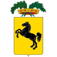 Studio Legale Novelli & Guelfi logo - Similar company to Netriver-Eng