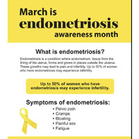 The Lemonaid Foundation for Endometriosis, Inc. logo - Similar company to Endometriosis Partnership
