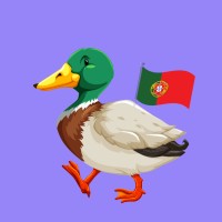 Política Factual logo - Similar company to 4Itfuture