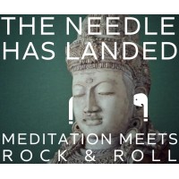 The Needle Has Landed logo - Similar company to Stri Wellness