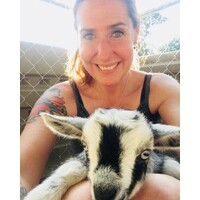 Lil Country Goat Yoga logo - Similar company to Goat Strolls