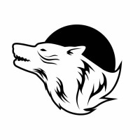 Spiritus Systems logo - Similar company to Firstspear