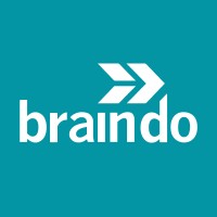 BrainDo logo - Similar company to Blackbird E-Solutions Llc