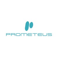 PrometeUS logo - Similar company to Pnicube