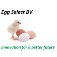 Egg Select Bv