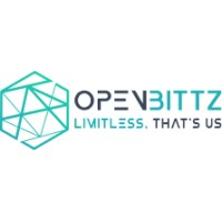 Openbittz logo - Similar company to Bullsh*T Resolved