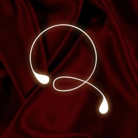 QONA logo - Similar company to Noah Team