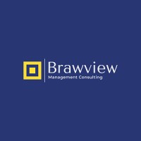 Brawview Management Consulting