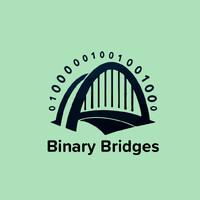BinaryBridges logo - Similar company to Binary Bridges