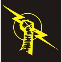 Punk Marketing logo - Similar company to Collect Labs