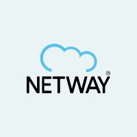 Sou Netway logo - Similar company to Oficina Brasil