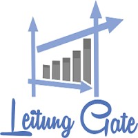 Leitung Gate Limited logo - Similar company to Leitungate