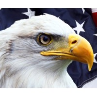 Eagle Eye Franchise Coaching logo - Similar company to T & T Seeds Ltd.