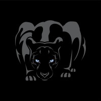 Panther Orthopedics logo - Similar company to Panthertec