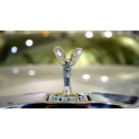 Royal Exotic Cars logo - Similar company to Phillips Auto - Luxury And Exotic Sports Cars