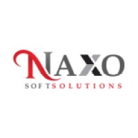 Naxo Soft Solutions Private Limited logo - Similar company to Arino Tech Labs Pvt Ltd