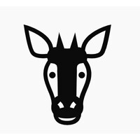 Okapiq logo - Similar company to Direction.