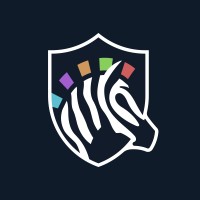 Punk Security logo - Similar company to Oh Ffs...