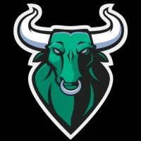 The Bull Market Bulletin logo - Similar company to Palermo Perfume