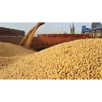 JMB AGRO TRADING ( soyabean, wheat, soyabean oil,, sunflower oil, vegetal oil,.... ) logo - Similar company to Maslenytsa