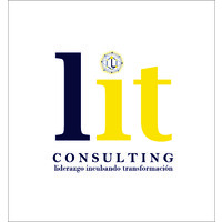 Lit Consulting logo - Similar company to Lit Consulting