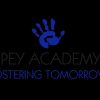 Pey Academy logo - Similar company to Global Ecommerce Alliance