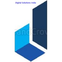 Digital Solutions India