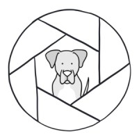 All Dog Kind logo - Similar company to El Hot Dog