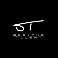 Serious Talent Network logo - Similar company to The It Solutions