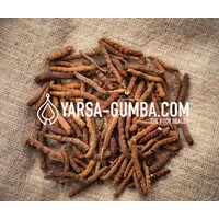 Cordyceps Sinensis logo - Similar company to Solution Toiture