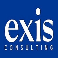EXIS CONSULTING- Consultoría de productividad logo - Similar company to Dgl Consultoría Y Desarrollo