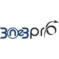 313Pro logo - Similar company to Superhero Mobile