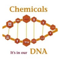 Goldensea Chemicals Co., Ltd. logo - Similar company to 7 Ofoq