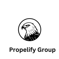Propelify Group logo - Similar company to Visionarys Insight