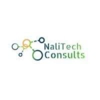 NaliTech Consults logo - Similar company to Gambito - Venture Design & Development Studio