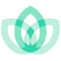 Mint Health MCD logo - Similar company to Vividus - Medical Marketing