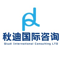 Qiudi International Consulting logo - Similar company to Noyes Ai