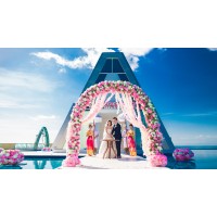 Double Happiness Wedding Organizer logo - Similar company to Dfam Alpha