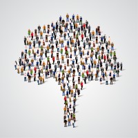 Olive Tree International Search logo - Similar company to Melo