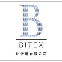 BITEX LIMITED logo - Similar company to Pipescan Ai