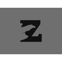 ZOOK BY HIKE logo - Similar company to Pentatonix Technologies Pvt Ltd