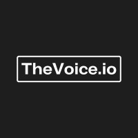 TheVoice.io logo - Similar company to Rivial Data Security