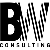 Bizwize Consulting logo - Similar company to Let'S Pac
