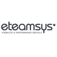 Eteamsys logo - Similar company to Webadev
