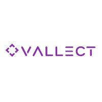 Vallect logo - Similar company to Digitlay