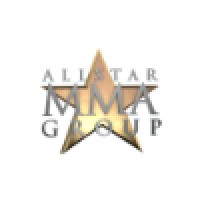 Allstar MMA Group logo - Similar company to Authentic Movement Global